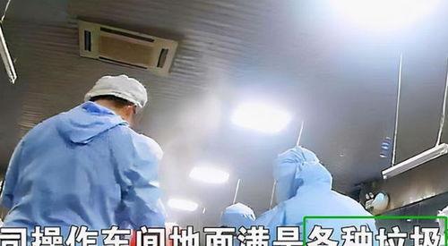 后厨爆料现场视频播放大全,揭秘厨房那些不为人知的秘密